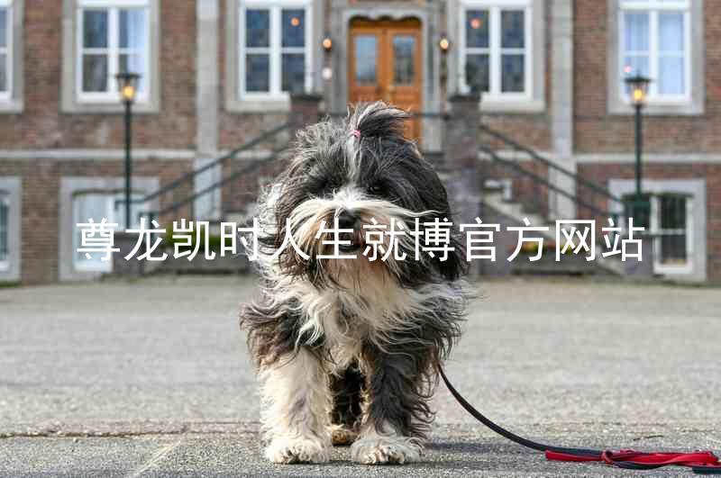 尊龙凯时人生就博官方网站